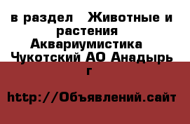  в раздел : Животные и растения » Аквариумистика . Чукотский АО,Анадырь г.